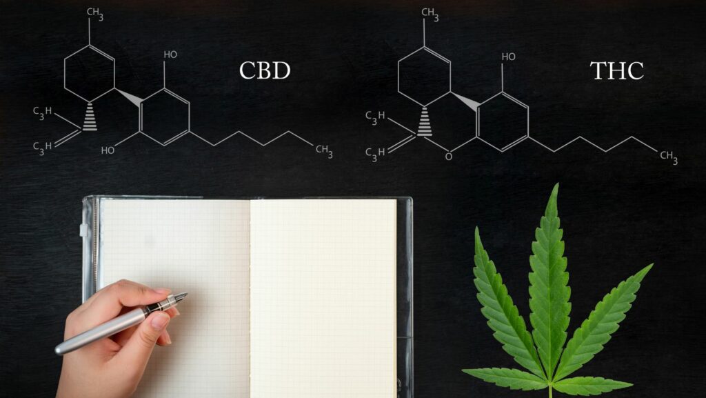 Herbalx The Benefits of CBD Exploring its Uses in Wellness